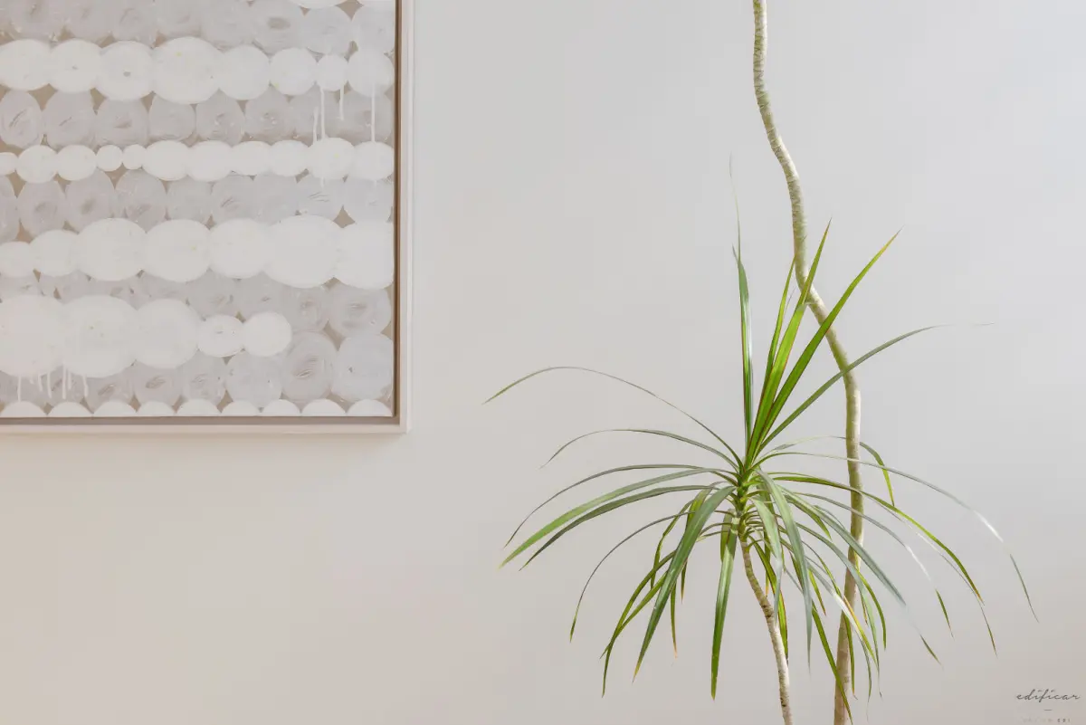 화이트 아트워크와 플랜테리어의 미니멀 조화